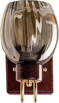 - Handmade Sheesham Wood Wall Light/Lamp with Gold Plated Metal Bands, Brass Rivets, Black Smoke Glass, E27 Bulb Base(Bulb not Included) for Home/Bedroom/Living Room/Hallway
