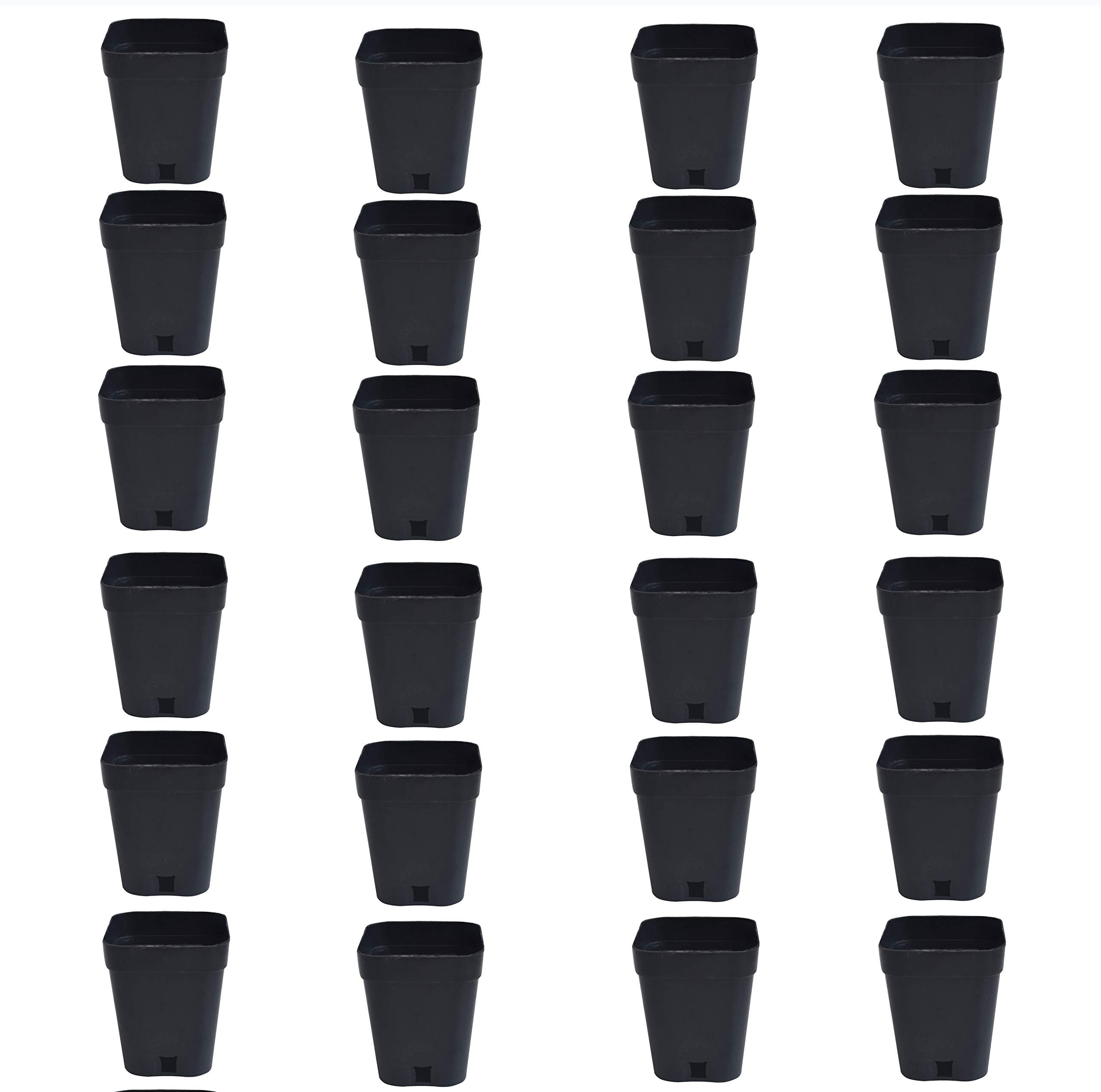 Novicz 3 inch Plastic Nursery Seed Seedling Germinating Pots Cup Set Plant Pot, Set of 24 Pcs, Black