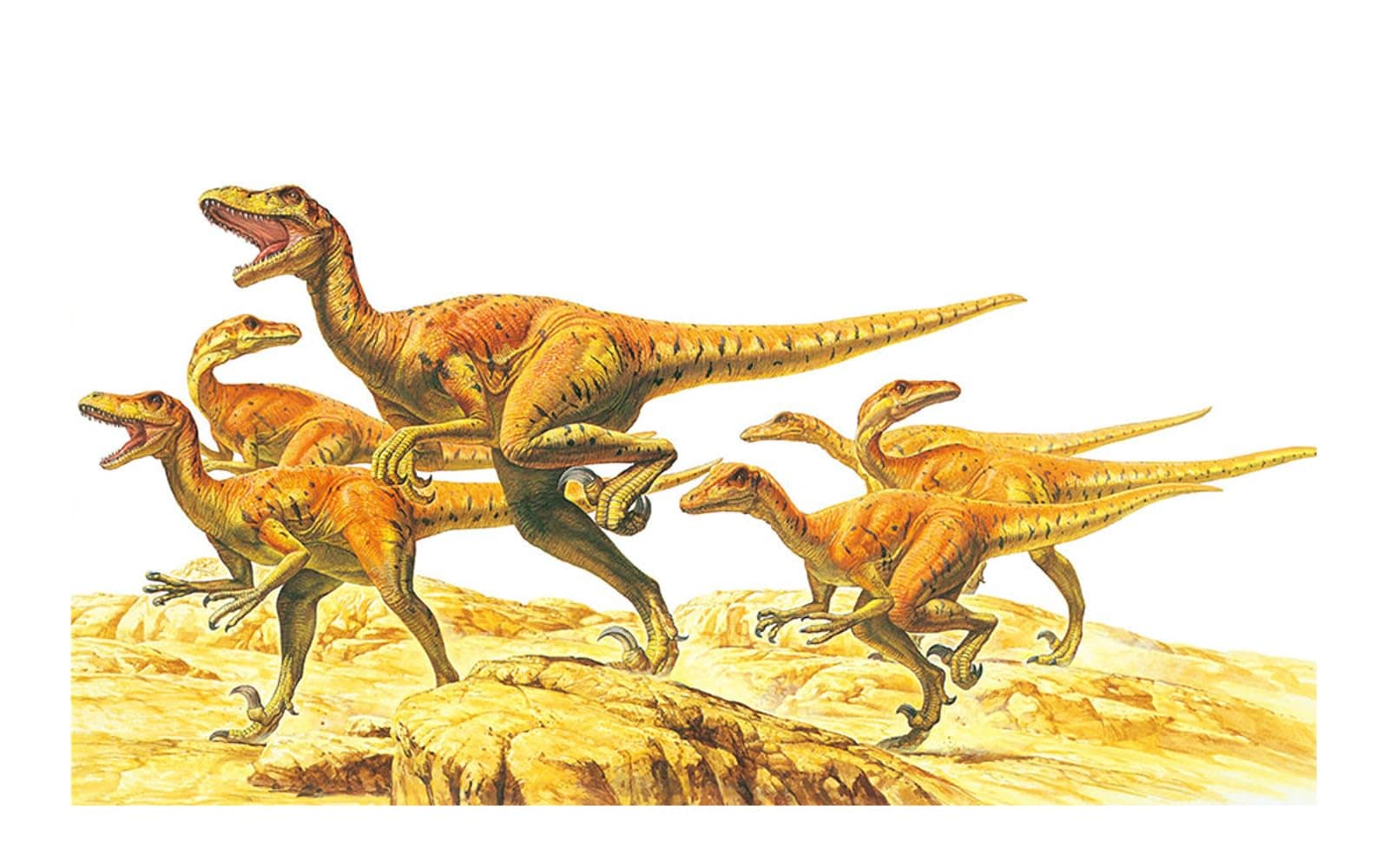 Tamiya 60105-1:35 Dinosaurs, Pack of 6