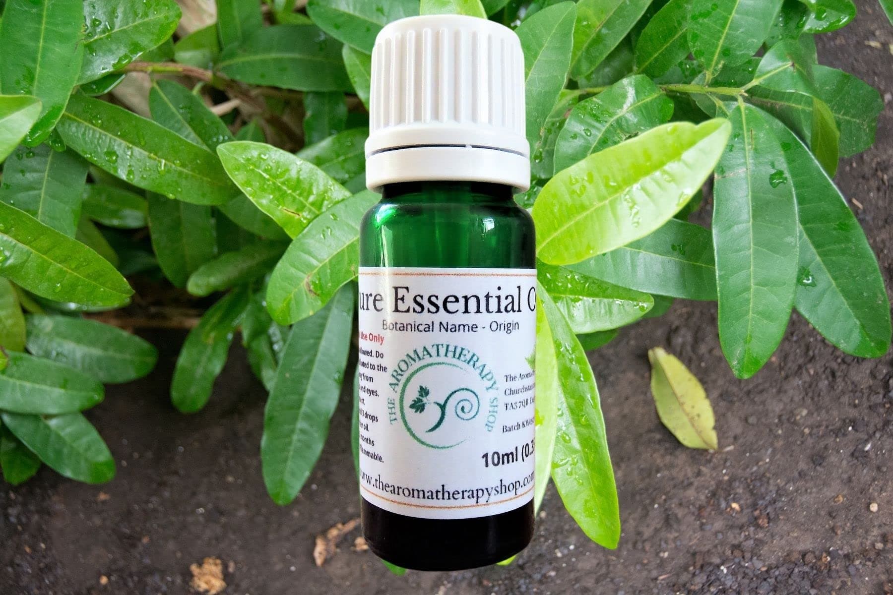 Pimento Leaf Pure Essential Oil 10ml