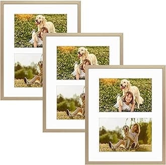 Golden State Art, 4x6 Aluminum Collage Frame, Displays 6x4 Pictures With 2 Openings Mat or One 8x10 Photo, Real Glass, Portrait/Landscape Wall/Tabletop Display, Gold, 3 Pack