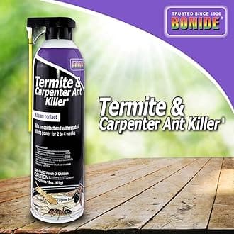 (BND370) - Termite and Carpenter Ant Killer, Aerosol Insecticide (15 oz.)