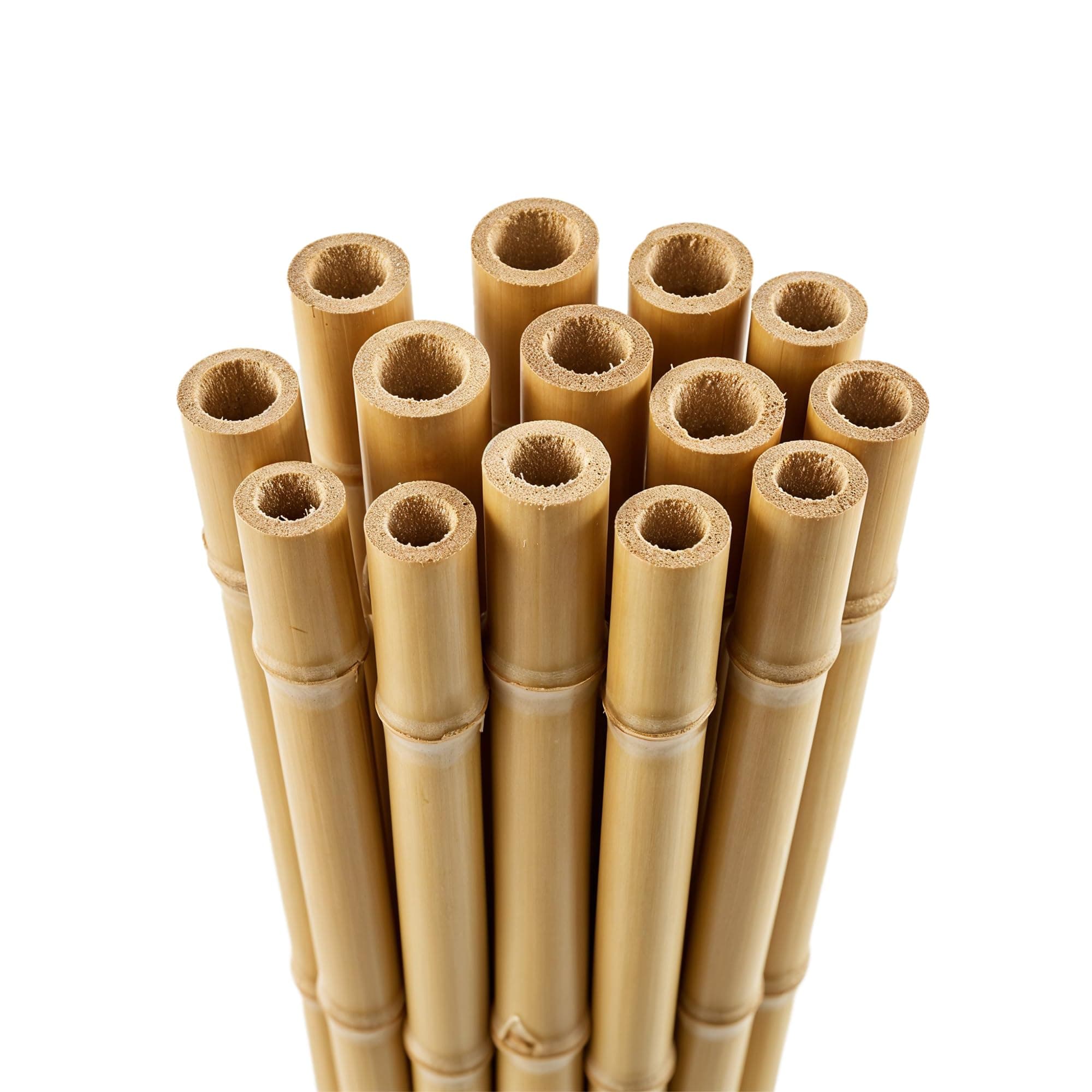 Blado Thick Bamboo Canes - Heavy Duty, Natural Garden Stakes, Strong Bamboo Sticks for Plant Support - Ideal for Gardens and Outdoor Spaces 2FT, 3FT, 4FT, 5FT, 6FT (30, 2ft, 6-8mm)
