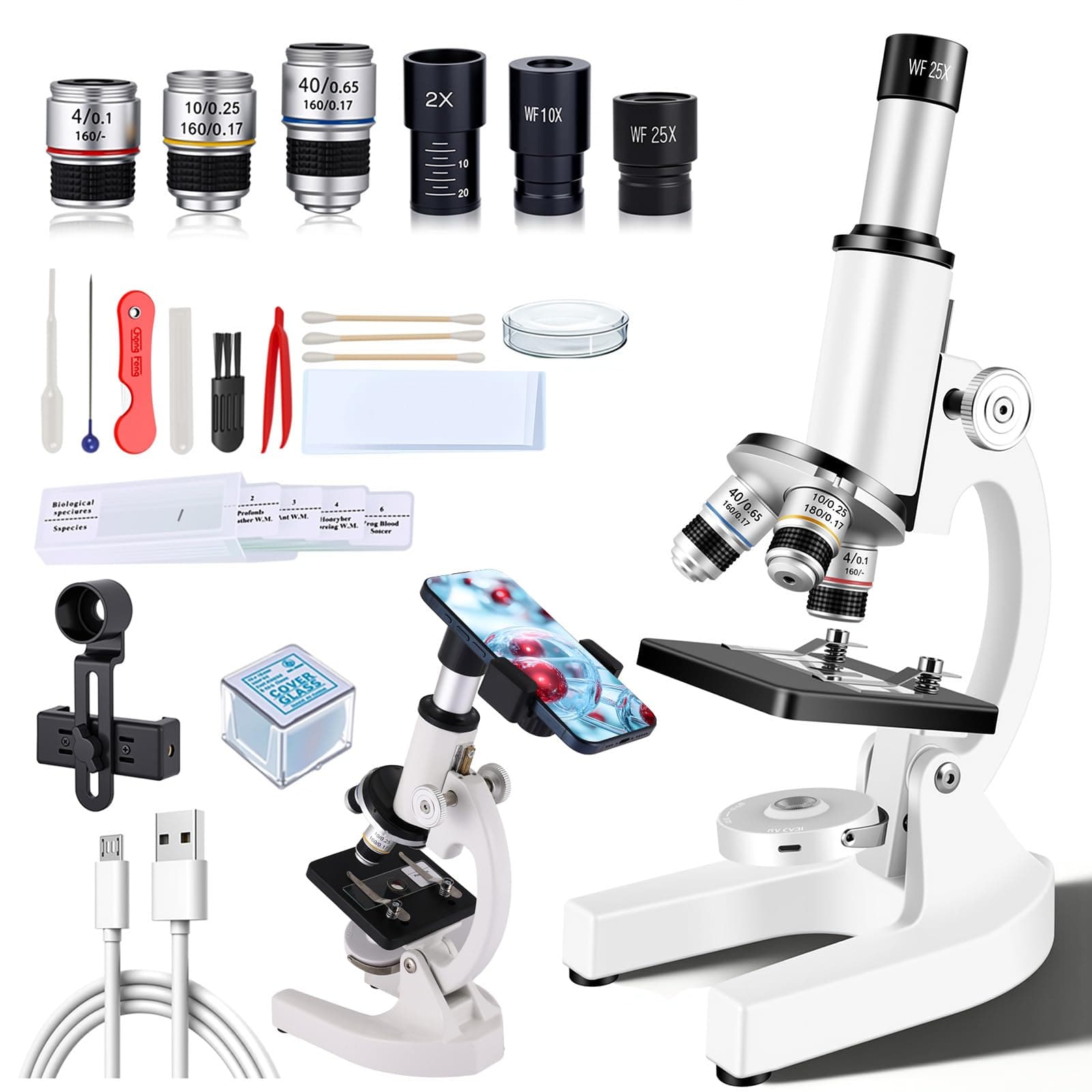 Compound Microscope for Adults & Kids - 40X-2000X High-Power Biological Microscope for Students, School Lab & Home Education, with Slides Set & Phone Adapter (White)