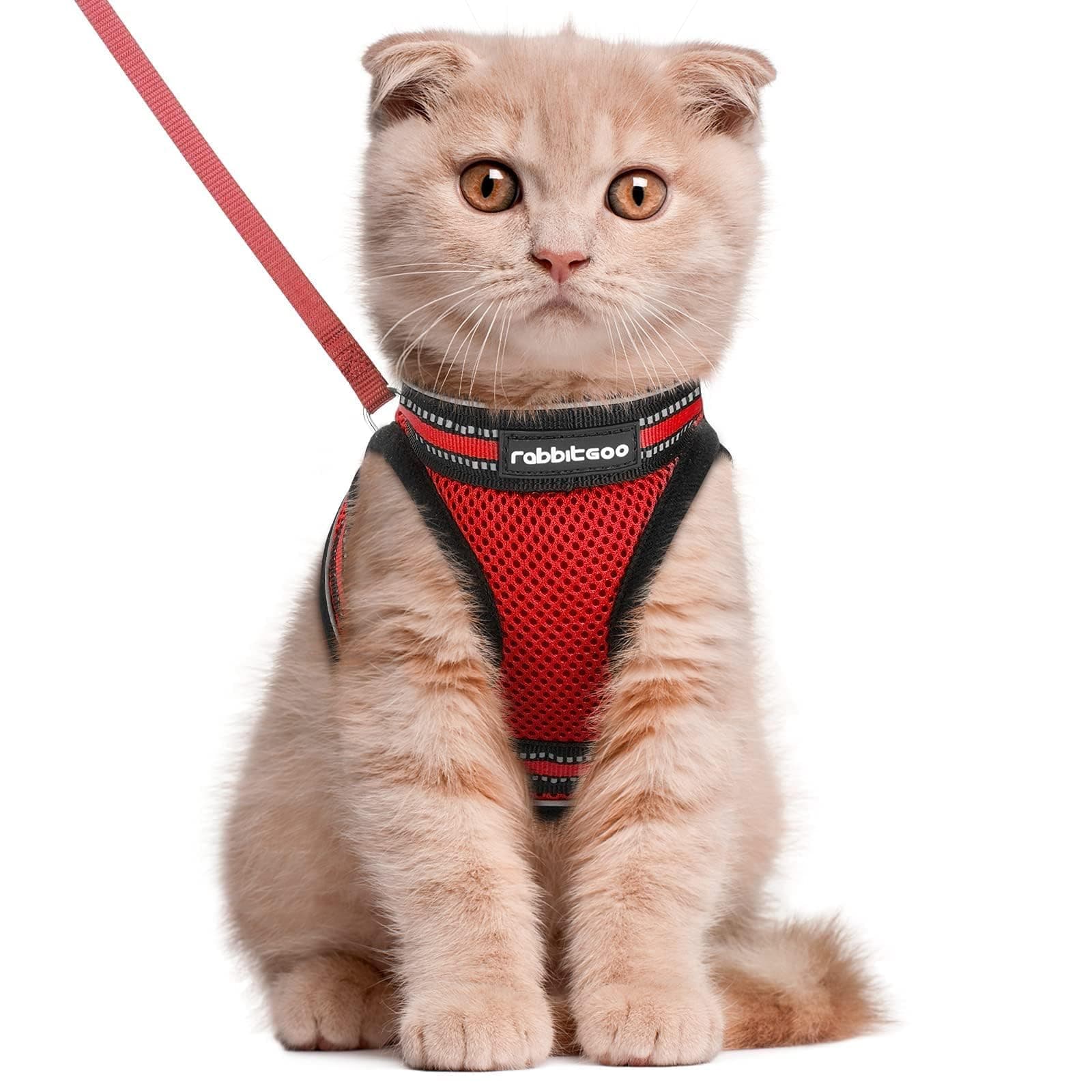 rabbitgoo Cat Harness and Leash Set for Walking Escape Proof, Adjustable Soft Kittens Vest with Reflective Strip for Extra Small Cats, Comfortable Choke-Proof Outdoor Vest Harness, Red, Large