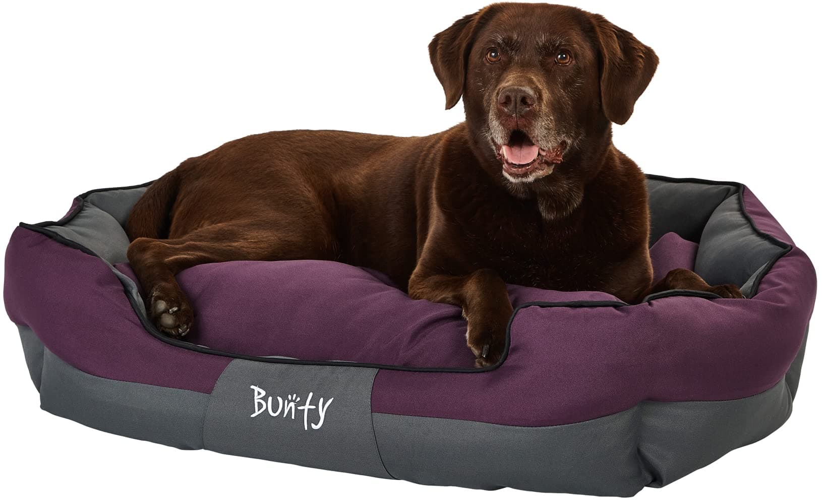 Bunty Anchor Sofa Dog Bed, Extra-Large - Plush Cushioning & High Sides - Water Resistant, Anti Anxiety, Indoor & Outdoor Suitable, Washable Pet Bed - XL, Purple