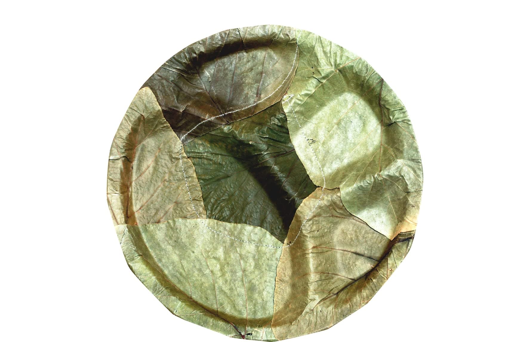 100% Bio-Degradable | Disposable | Eco-Friendly | Wedding | Anniversary | Birthday | Party Events | Occasion | Compostable | Natural Palash Leaf Plates- 14" (Pack of 25)