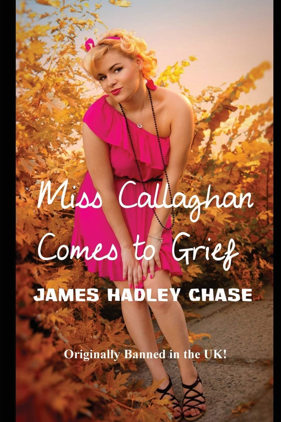 Miss Callaghan Comes to Grief Paperback – 15 May 2013