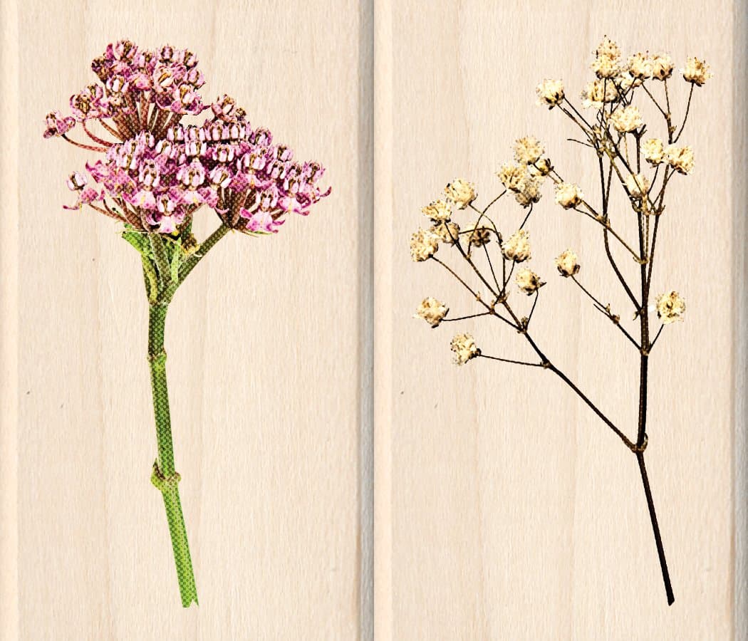 Inkadinkado Wood Stamp Set, Wildflowers