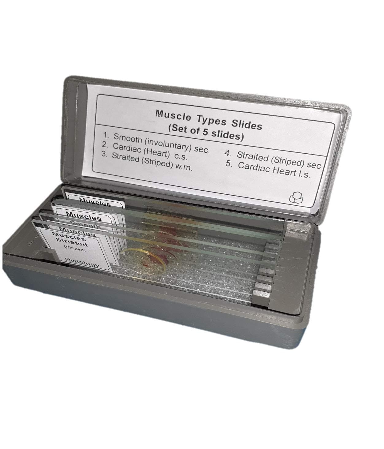 Muscle Types Prepared Slide -Set of 5