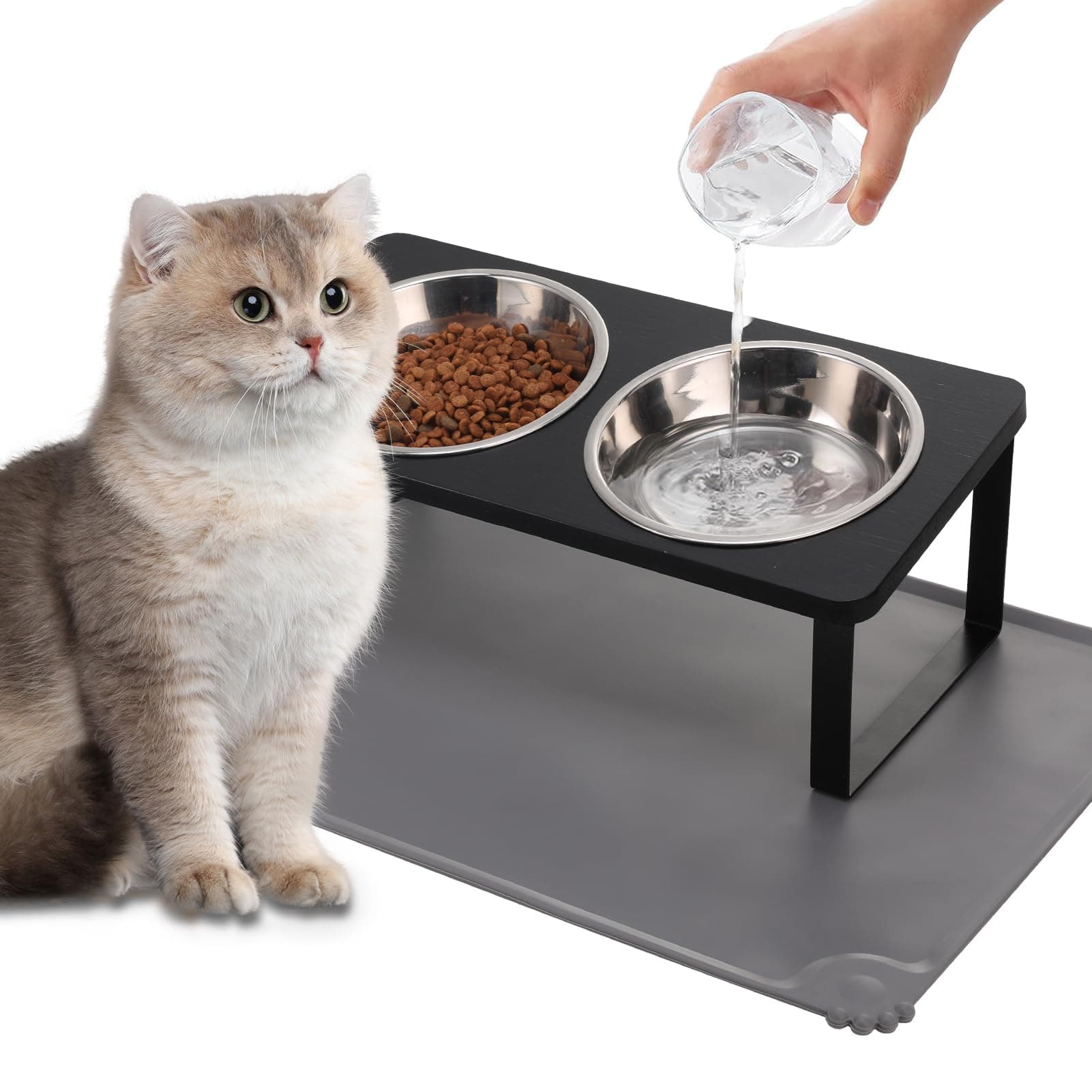 Upgraded Elevated Cat Bowls with Food Mat,15°Tilted Stand Anti Vomiting Raised Cat Dishes for Food and Water,2 Stainless Steel Bowls for Cats and Puppy(Black)