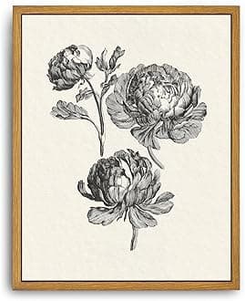 Roslynity Framed Canvas Wall Art Vintage Print Peonies Flower Drawing Botanical Sketch Painting Farmhouse Neutral Retro Aesthetic Artwork for Home Living Room Kitchen Wall Decor (8"x10")