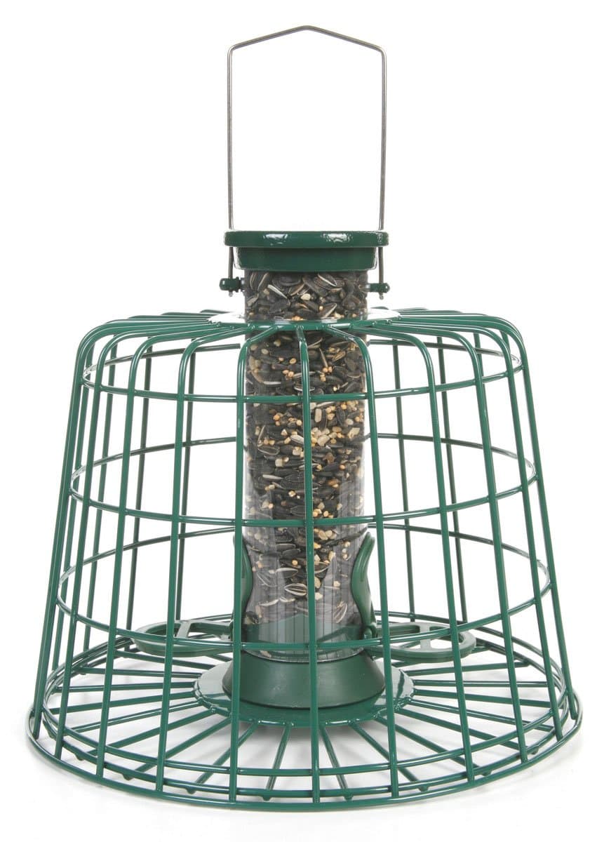 Other Cj Guardian Seed Feeder Pack Green Small, clear, 22031
