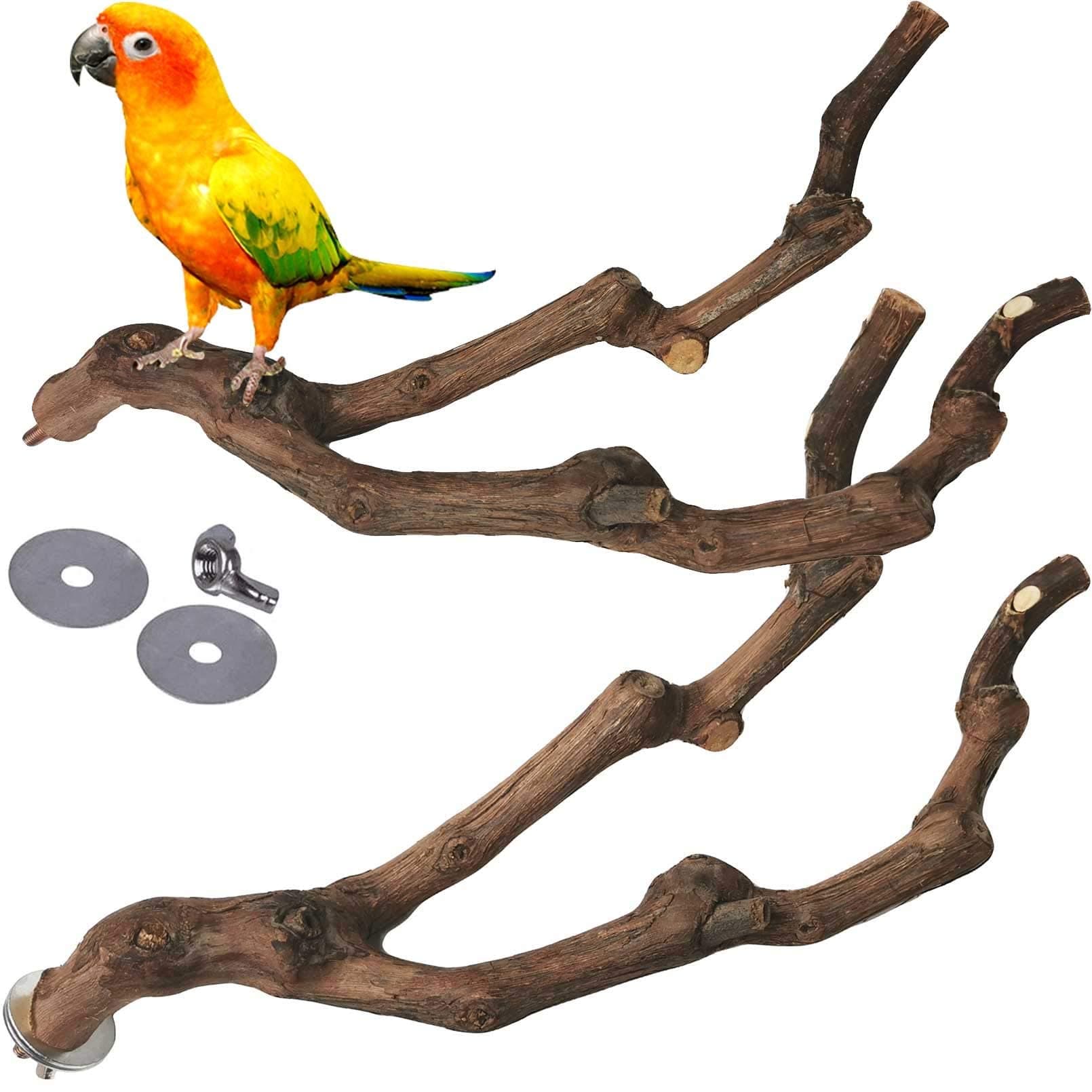 kathson Bird Perches for Parrots