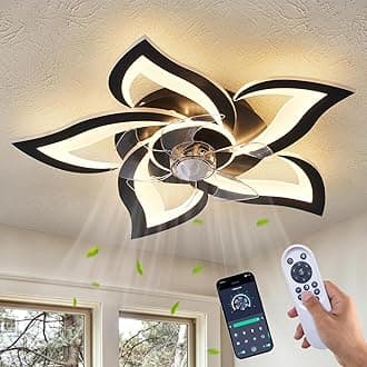 Ceiling Fan with Lights