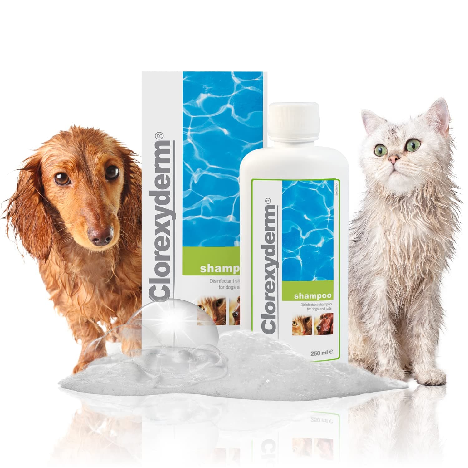 ICF – clorexiderm Shampoo