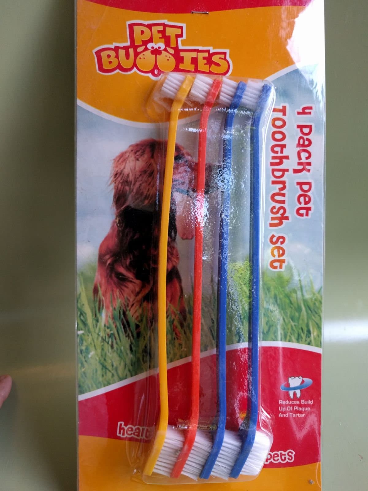 4 PACK PET TOOTHBRUSH SET DISPATCHED FROM GT-PRODUCTS