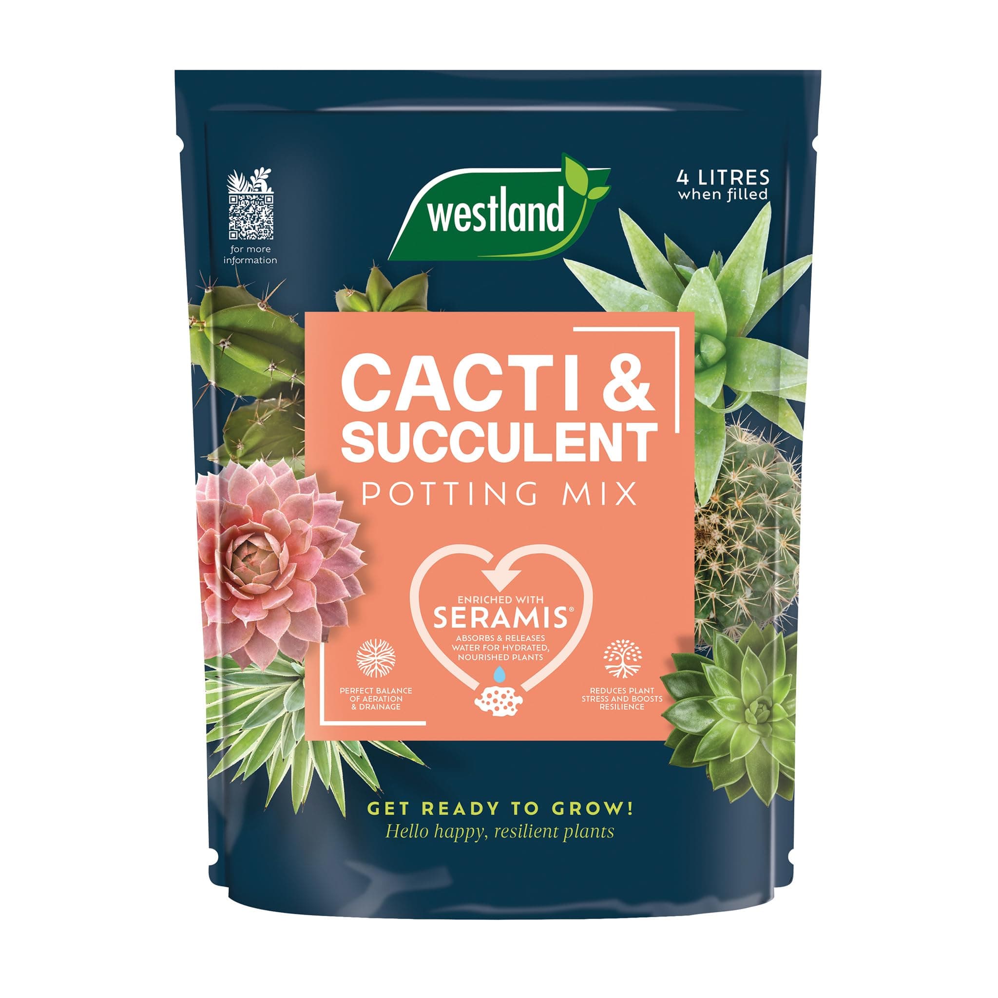 Westland Cacti Potting Mix 4L, Brown