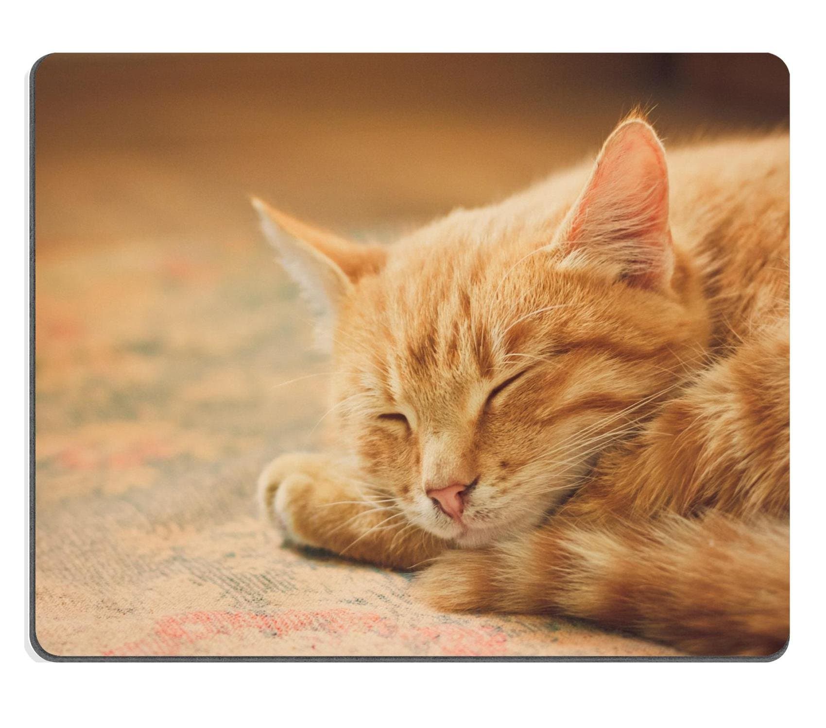 Liili Mouse Pad Natural Rubber Mousepad Peaceful Orange Tabby Male Kitten Curled up Sleeping Photo 14165960