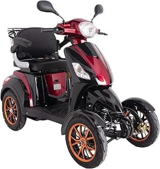 GREEN POWER - Red E-Mobility Device 4 Wheeled with Extra Accessories Package: E-Mobility Device Waterproof Cover, Phone Holder, Bottle Holder by Green Power JH500