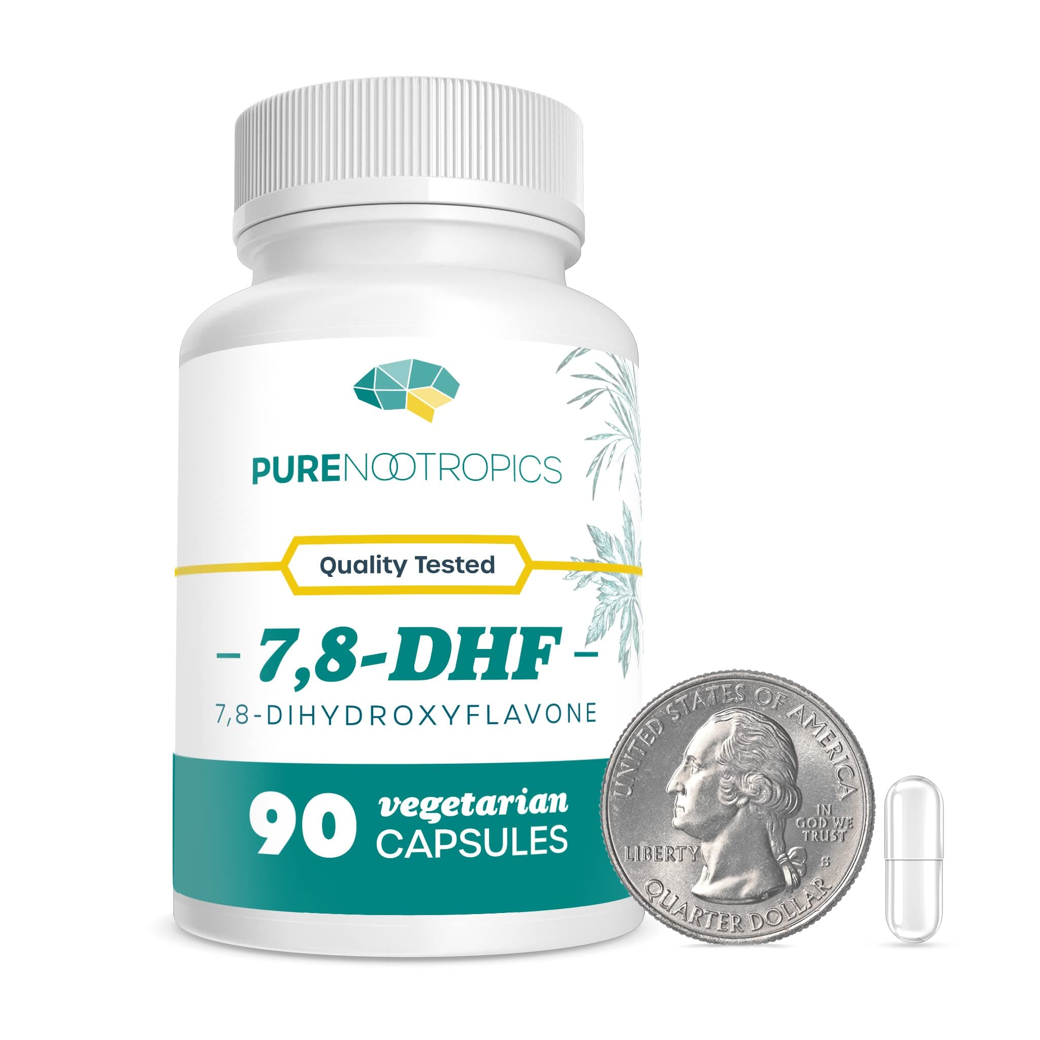 7,8-DHF (7,8-Dihydroxyflavone) Capsules | 25 mg | 90 Vegetarian Capsules