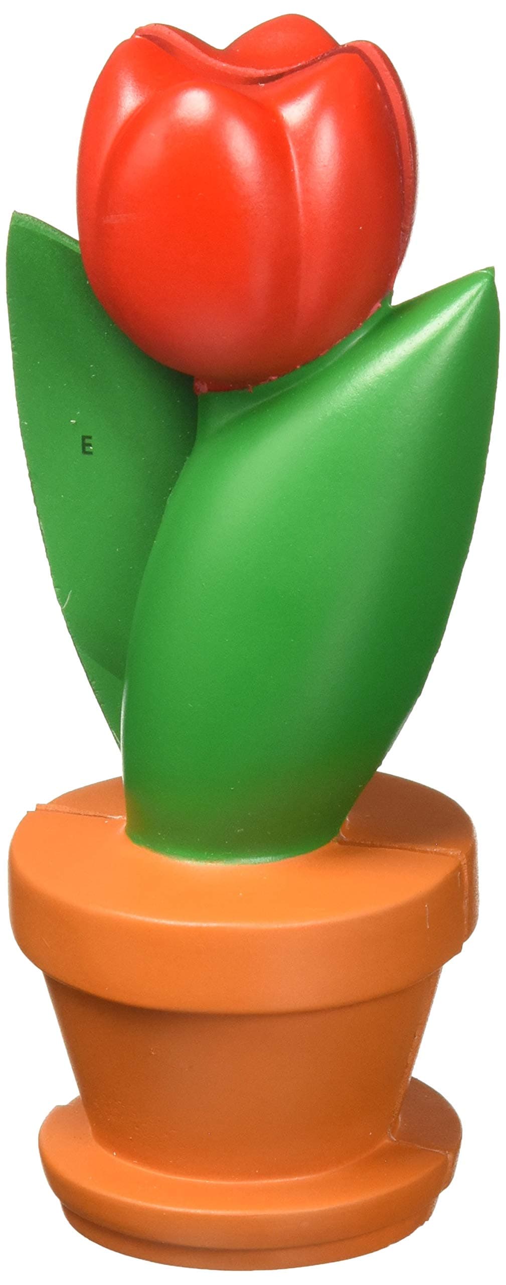 Learning Resources Cross-Section Flower Model