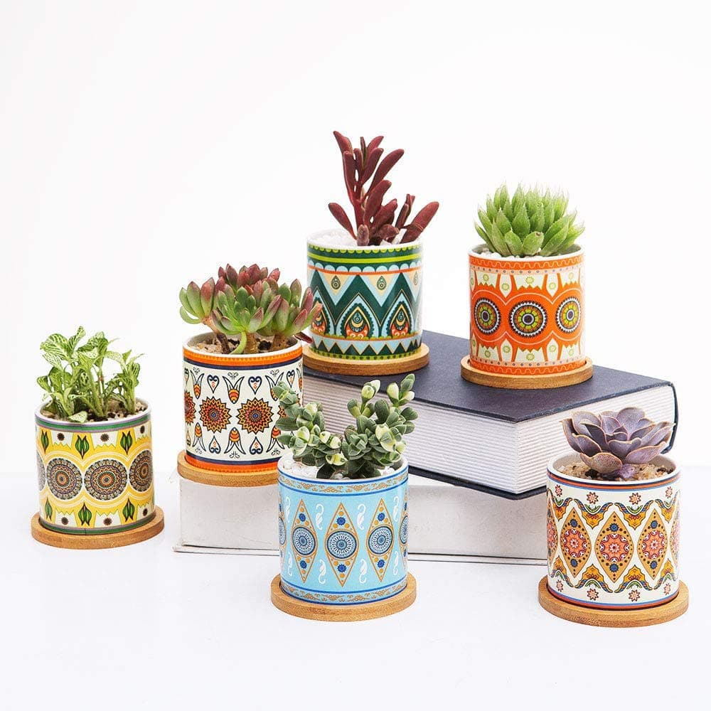 Succulent Plant Pots - 3.5 Inch Mandalas Pattern Cylinder Ceramic Succulent Planter for Cactus with Drainage Hole, Idea - Plants Not Included, Set of 6