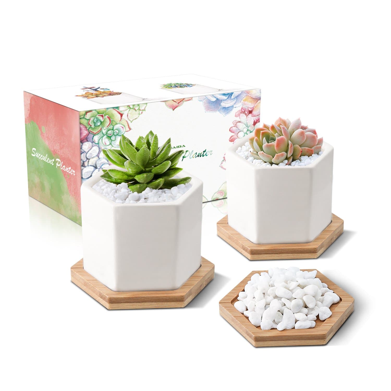 3.35 Inch PUAIDA White Ceramic Succulent Planter with Hexagon Design, Plant Pot for Succulent Plants, Small Cactus and Herbs with Bamboo Trays and Stone for Room Decor- Set of 2 …