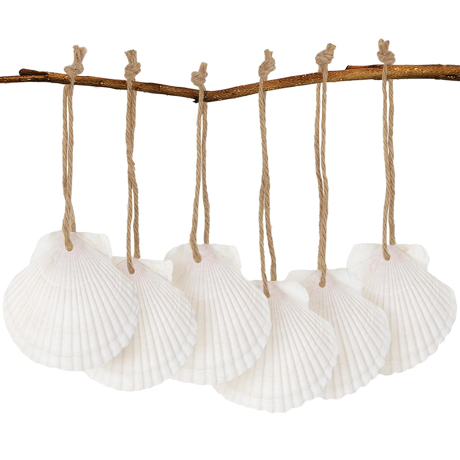 16PCS 2.5"-3.5" Natural Hanging Sea Shells