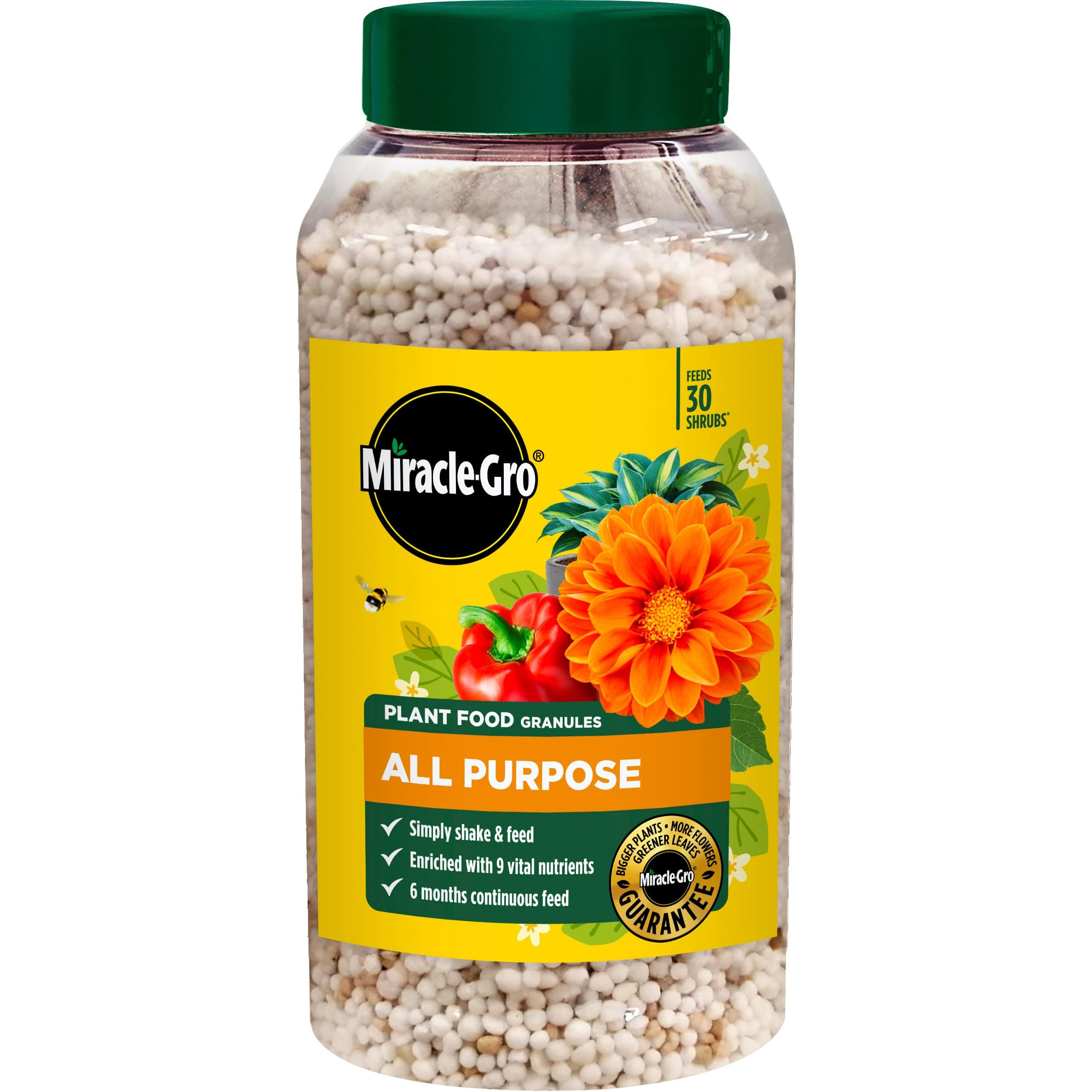 Continuous Release All Purpose Plant Food, 900G, White