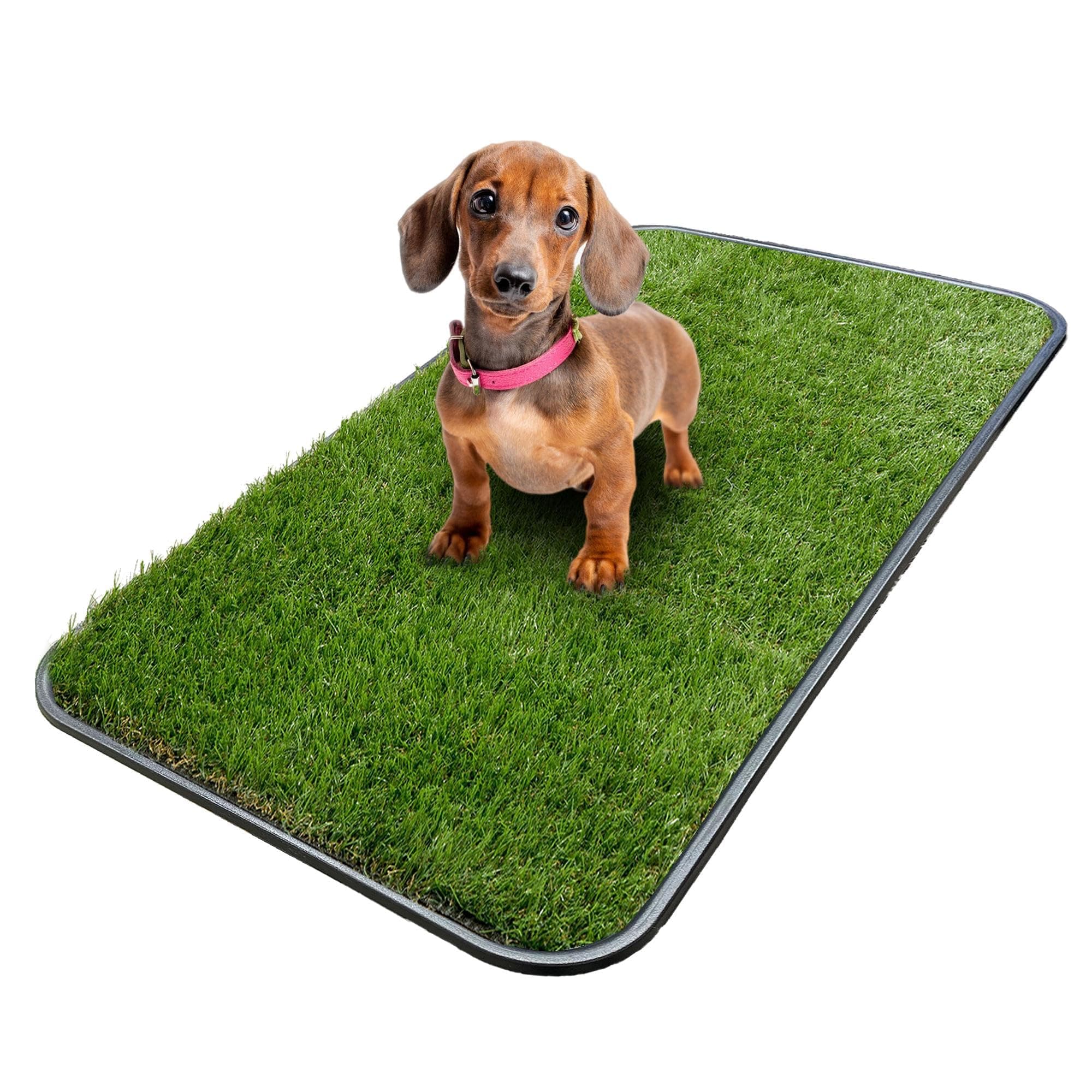 Ottomanson Artificial Grass Puppy Potty Training Pad with Tray, 15" x 30" Reusable Pee Pad for Small Pets and Dogs