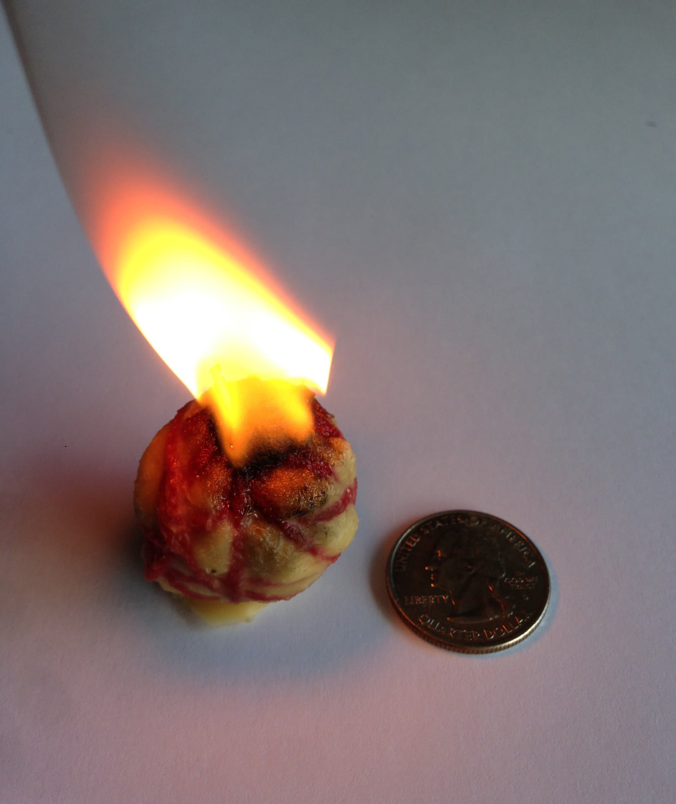 The Olympics: Rain Forest Kit - Extreme Fire Starter & Tinder - Over 112 Minutes of Total Burn Time - Easy Light Wick - Spark Light