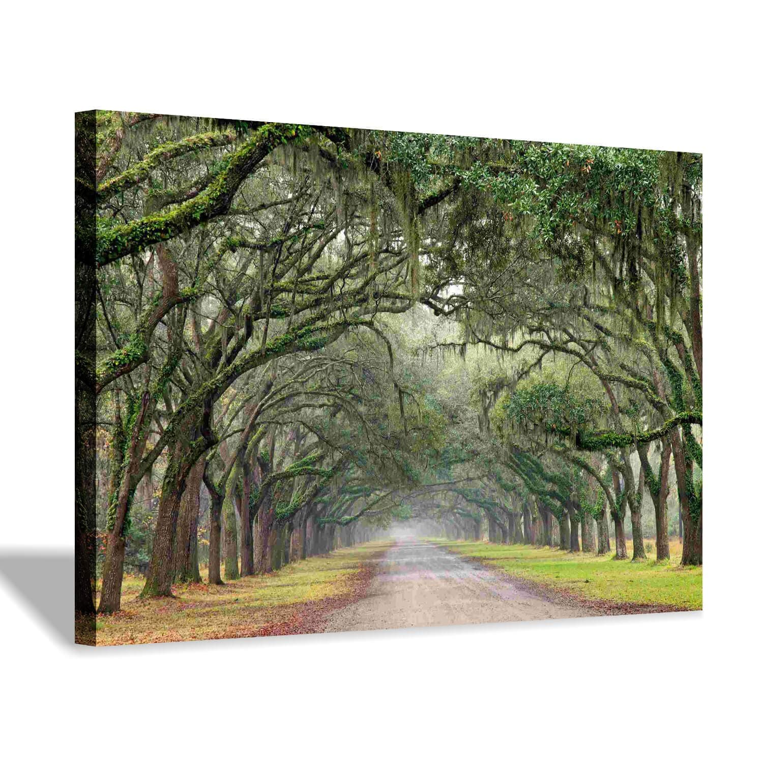 Green Forest Landscape Wall Art: Nature Canvas Oak Tree Lined Road of Savannah Artwork Picture Large Painting for Home Wall Decor (45'' x 30'' x 1 Panel)