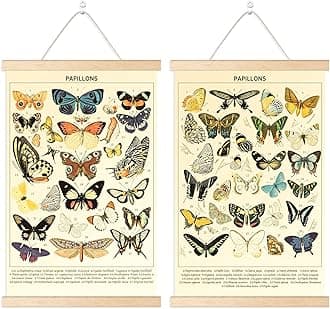 Butterfly Hanging Poster