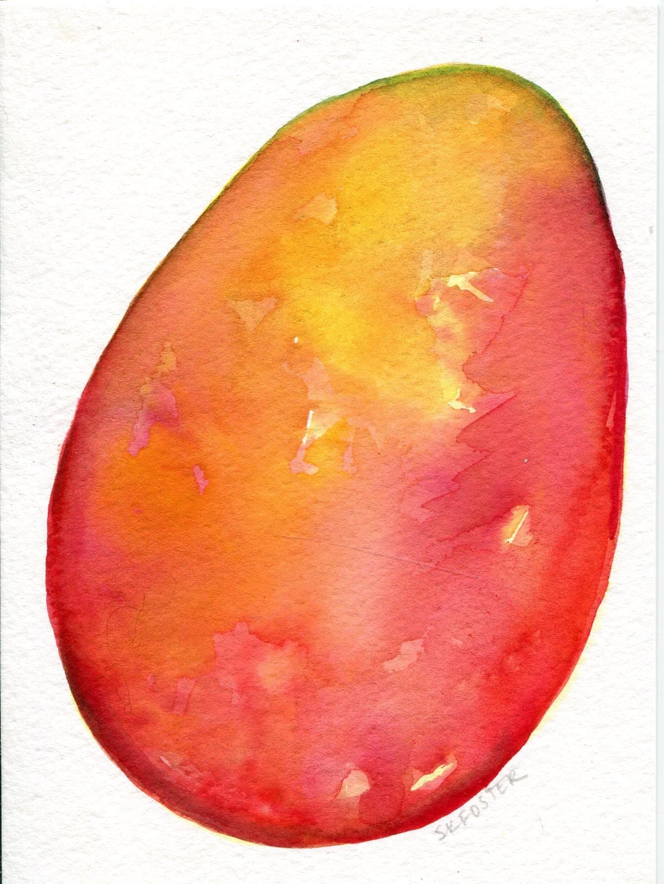 Mango Watercolor Painting Original, 5 x 7, Tropical fruit artwork. kitchen, food art