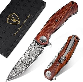 Damascus Folding Pocket Knife Handmade with Clip for Men, Damascus Hunting Knife EDC Knife with Liner Lock for Outdoor Survival Camping Collection, Wooden Handle