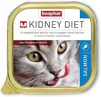 Kidney Diet Food for Cats 100g – Tasty Salmon Flavour – Complete Dietetic Food for Cats with Chronic Renal Insufficiency –– Restricted Level of Protein – Low Phosphorus Content