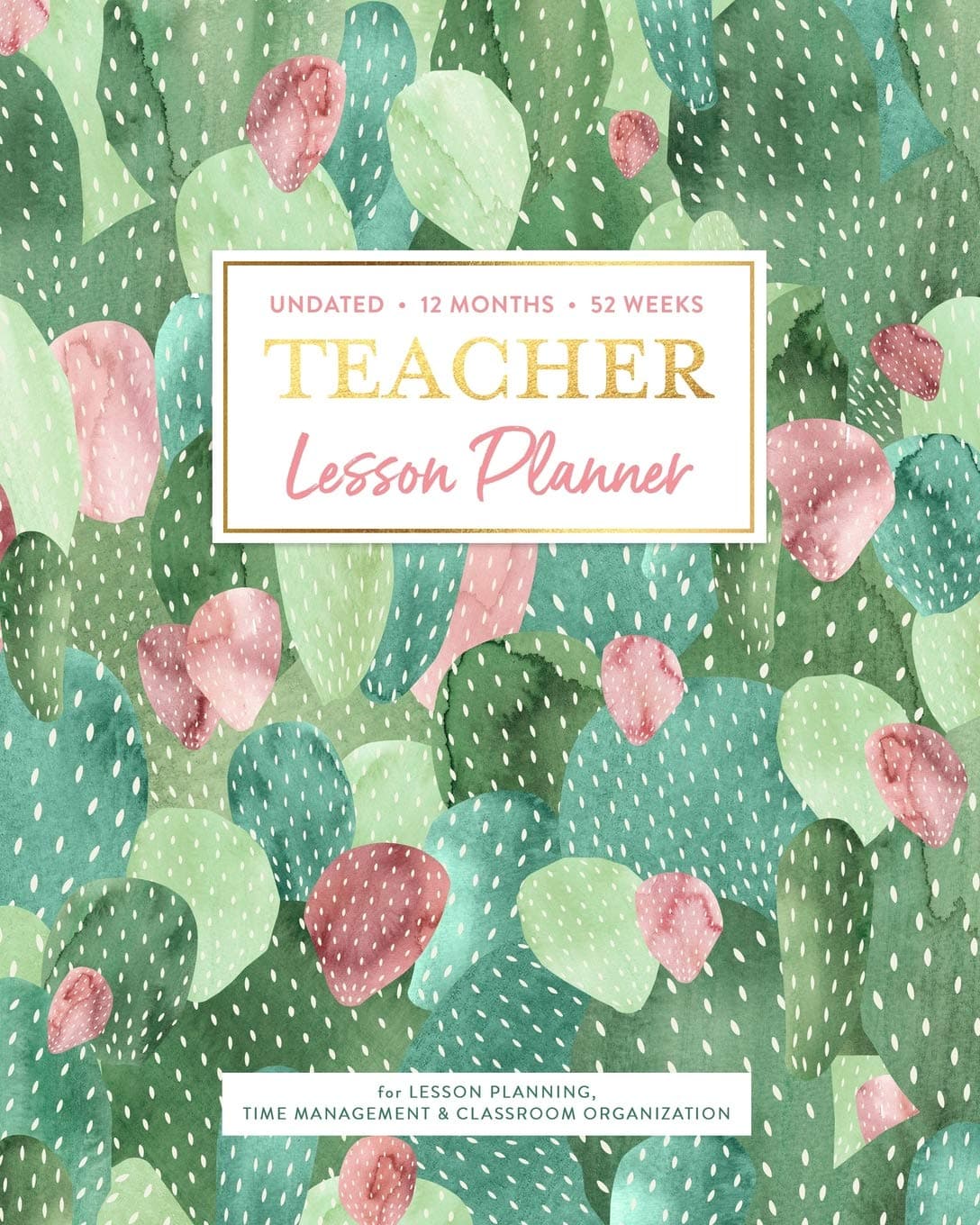 Undated 12 Months 52 Weeks TEACHER Lesson Planner for Lesson Planning, Time Management & Classroom Organization: Succulent Watercolor Cactus Pattern Instructor Curriculum Plan Calendar Book