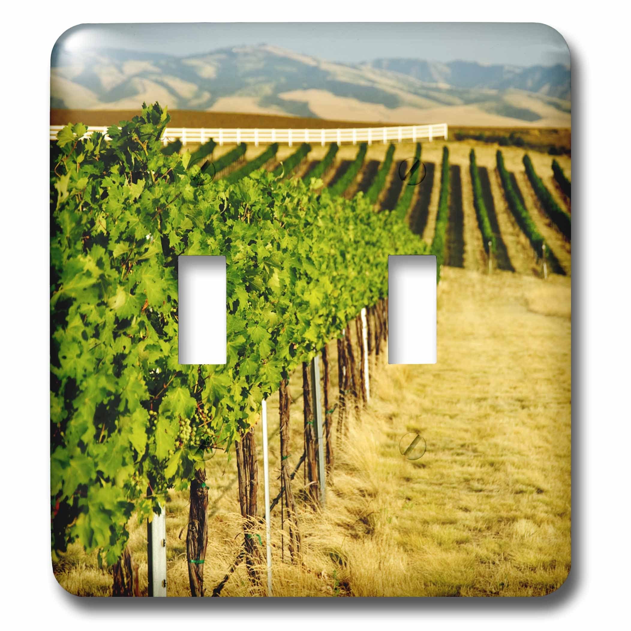 3dRose lsp_96642_2 Washington, Walla Walla Blue Mountains, Vineyard Us48 Rdu0231 Richard Duval Light Switch Cover