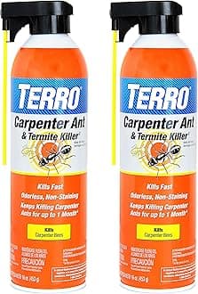 TERRO T1901SR Ready to Use Indoor and Outdoor Carpenter Ant, Termite, and Carpenter Bee Killer Aerosole Spray - 2 Pack 32 Total Ounces