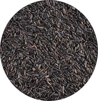 Niger Nyger Seed 500g - Thistle Feed for Gold Finch and Wild Bird Food