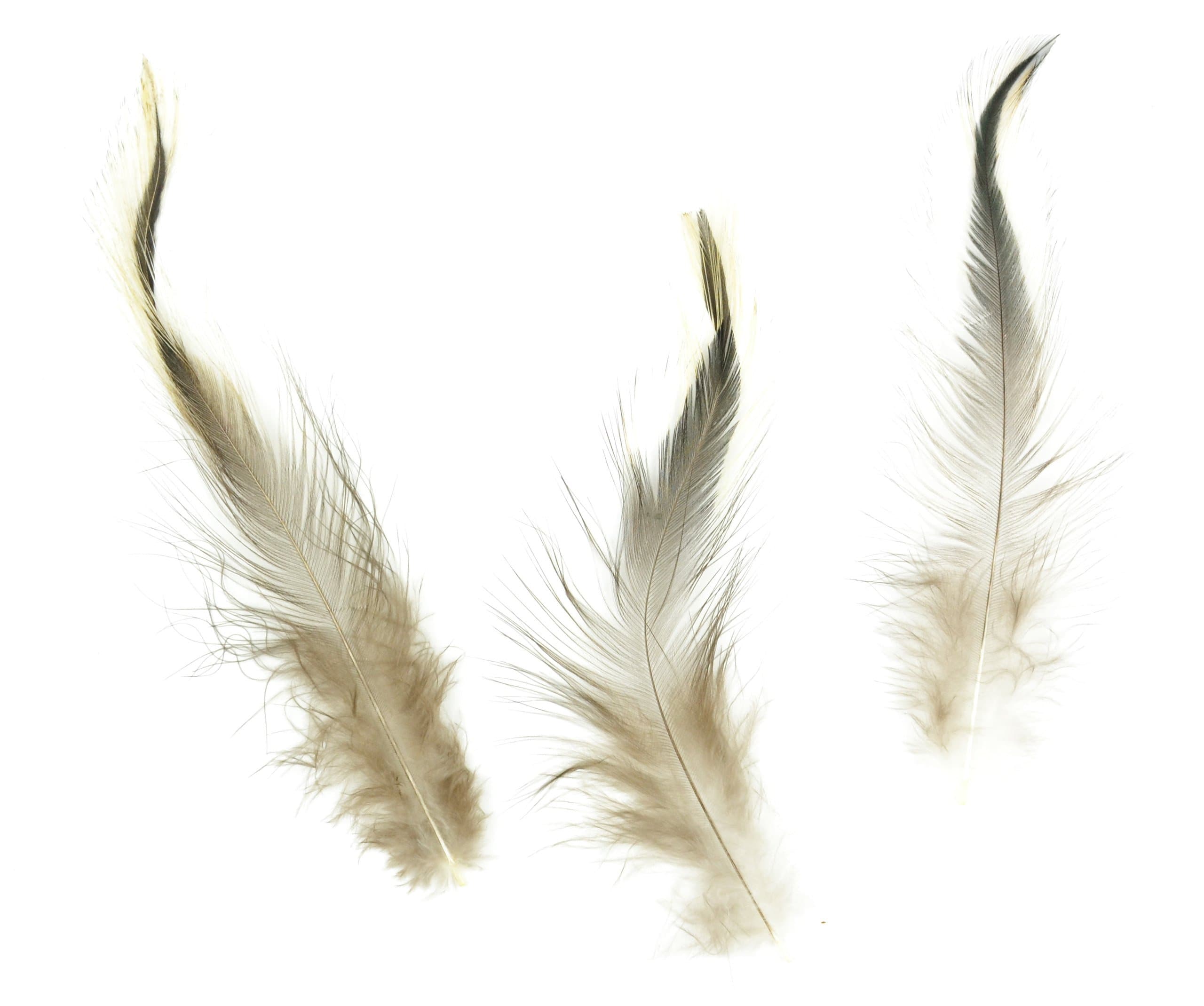 Designer Feathers 38318 Yellow Badger Hackle Feathers, Natural