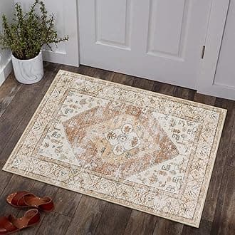 Boho Kitchen Rugs Washable - 2x3 Small Non-Slip Entry Rugs for Inside House Oriental Throw Area Rugs for Bedroom Accent Distressed Floor Doormat Carpet for Bathroom Entryway Laundry Living Room