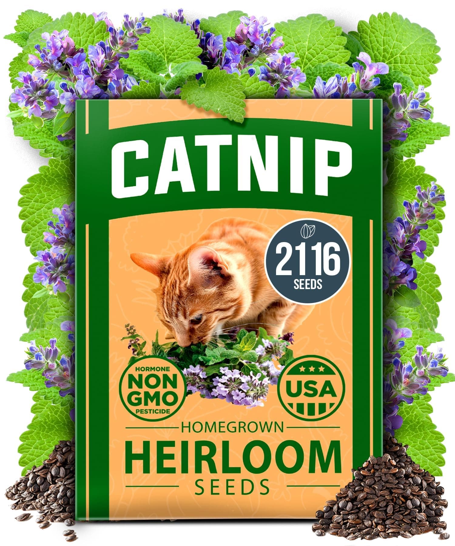 HOME GROWN Non GMO Catnip Seeds (Bulk Pack) Heirloom Herb 2,116 Seeds - Indoor or Outdoor Seed - High-Germination Cat Nip - Cat Safe Plants (Nepeta cataria)