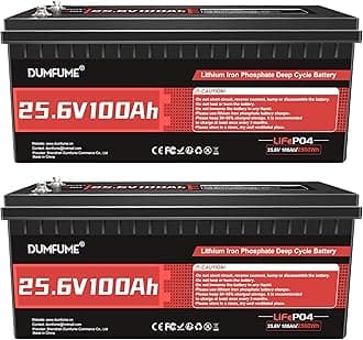 2 Pack 24V 100Ah LiFePO4 Lithium Battery, Built-in 100A BMS, 2560W Power Output, Up to 15000 Cycles, Ideal for RV, and Solar Off-Grid Systems