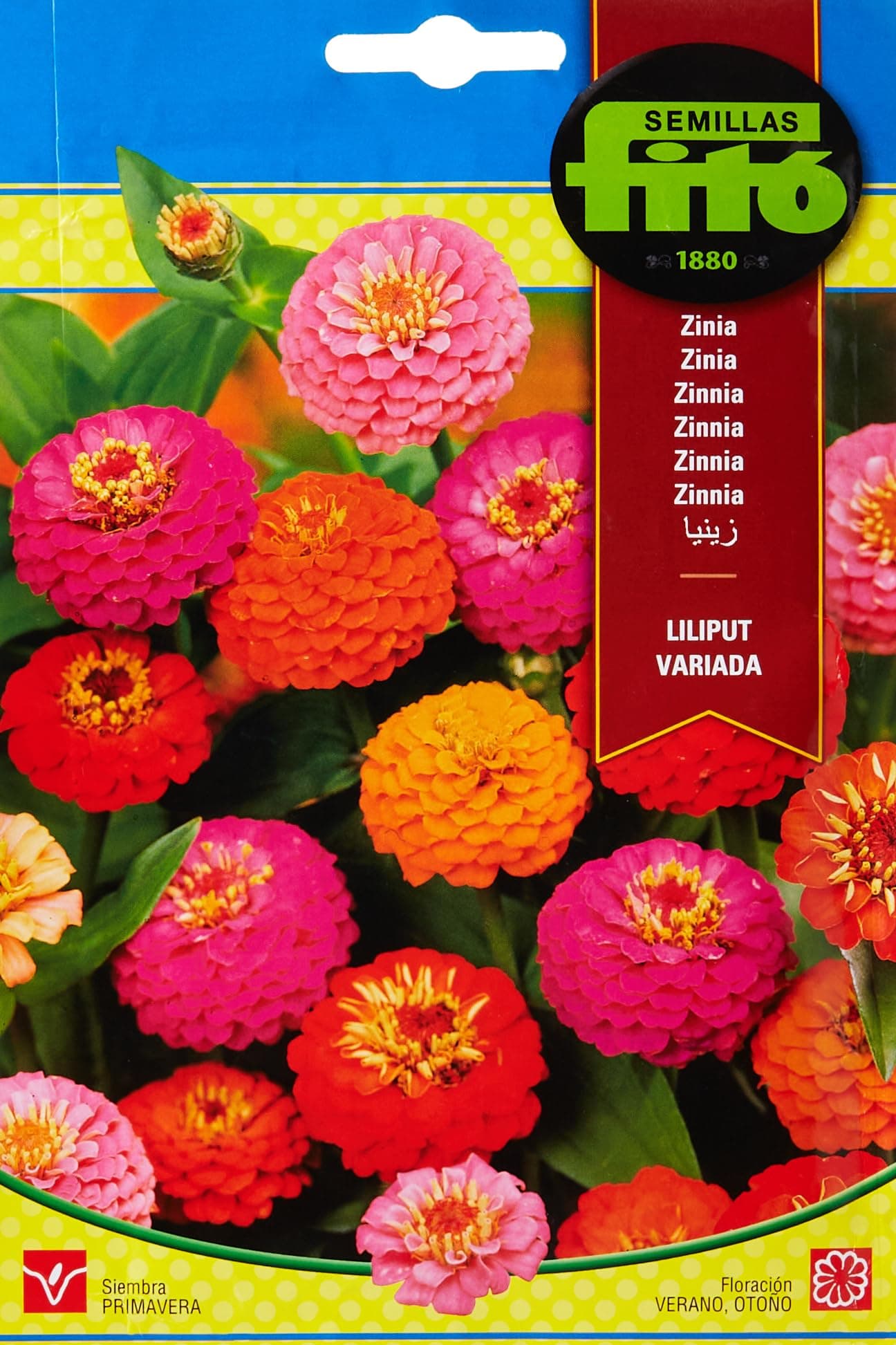 SEMILLAS FITO ZINNIA - LILIPUT VARIADA