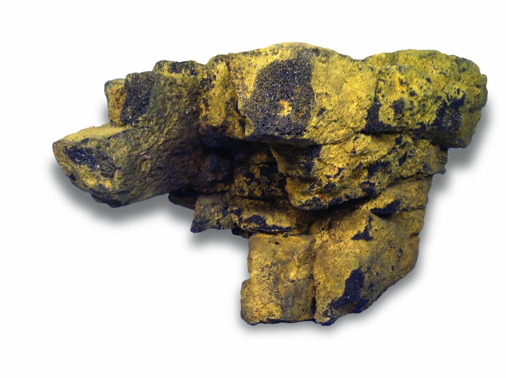 Universal Rocks 62-F Reptile Decoration Rock