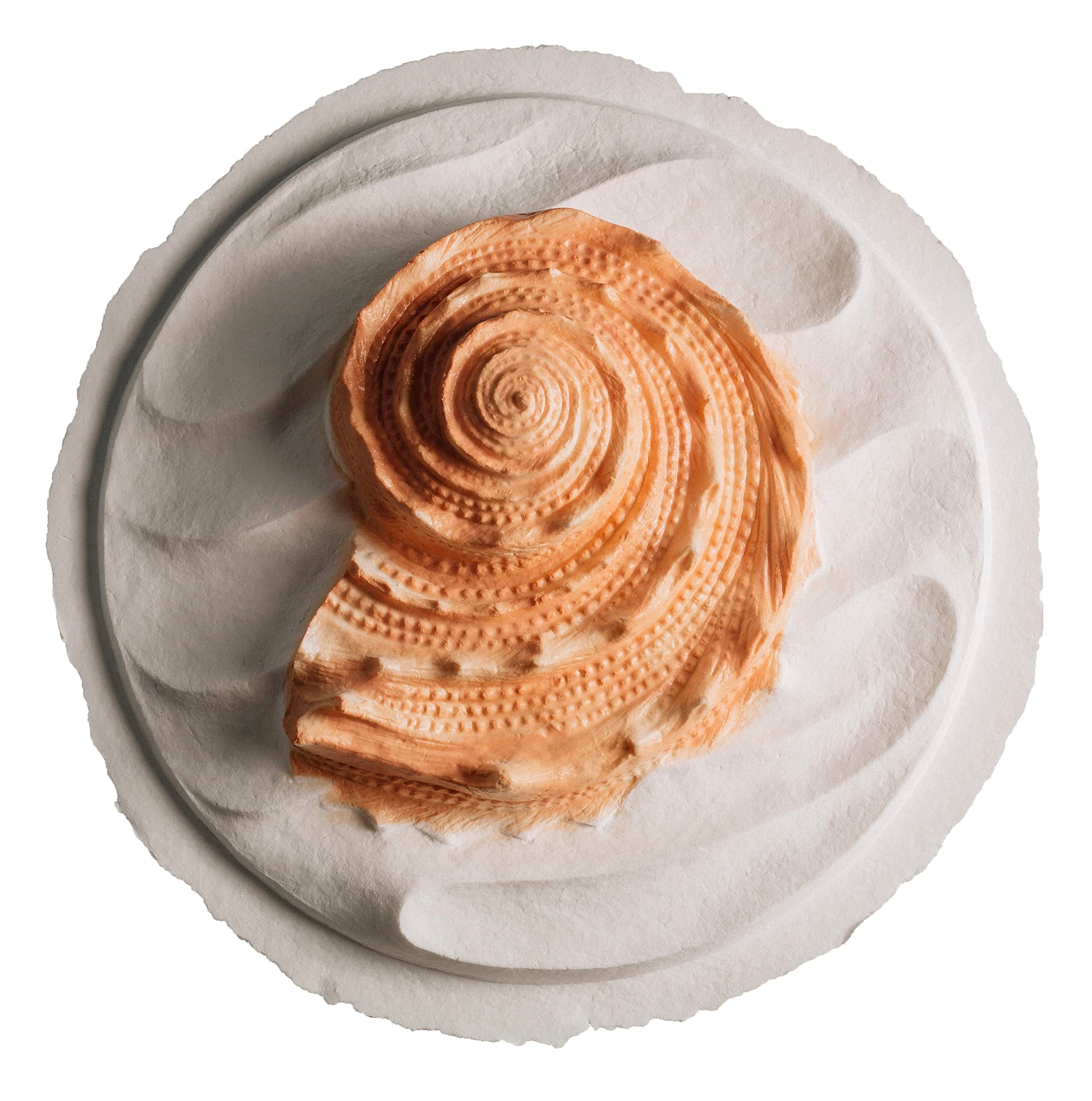 Biodegradable Urn for Scattering Cremated Ashes in Ocean Water, Ground or Sea Burial, Earth Friendly Eco Urn for Human Ashes (Oceanside Shell Coral Floating Urn)