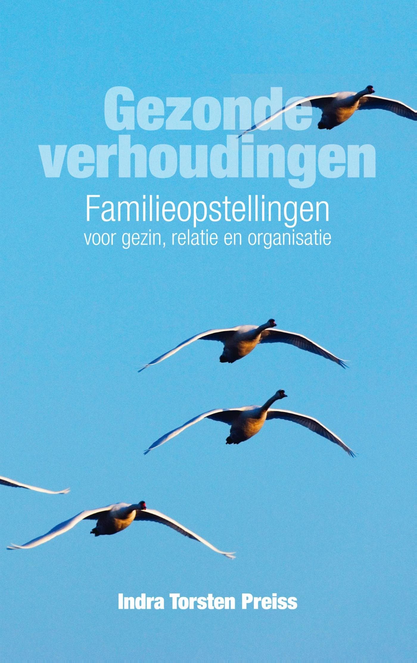 Gezonde verhoudingen (Dutch Edition)