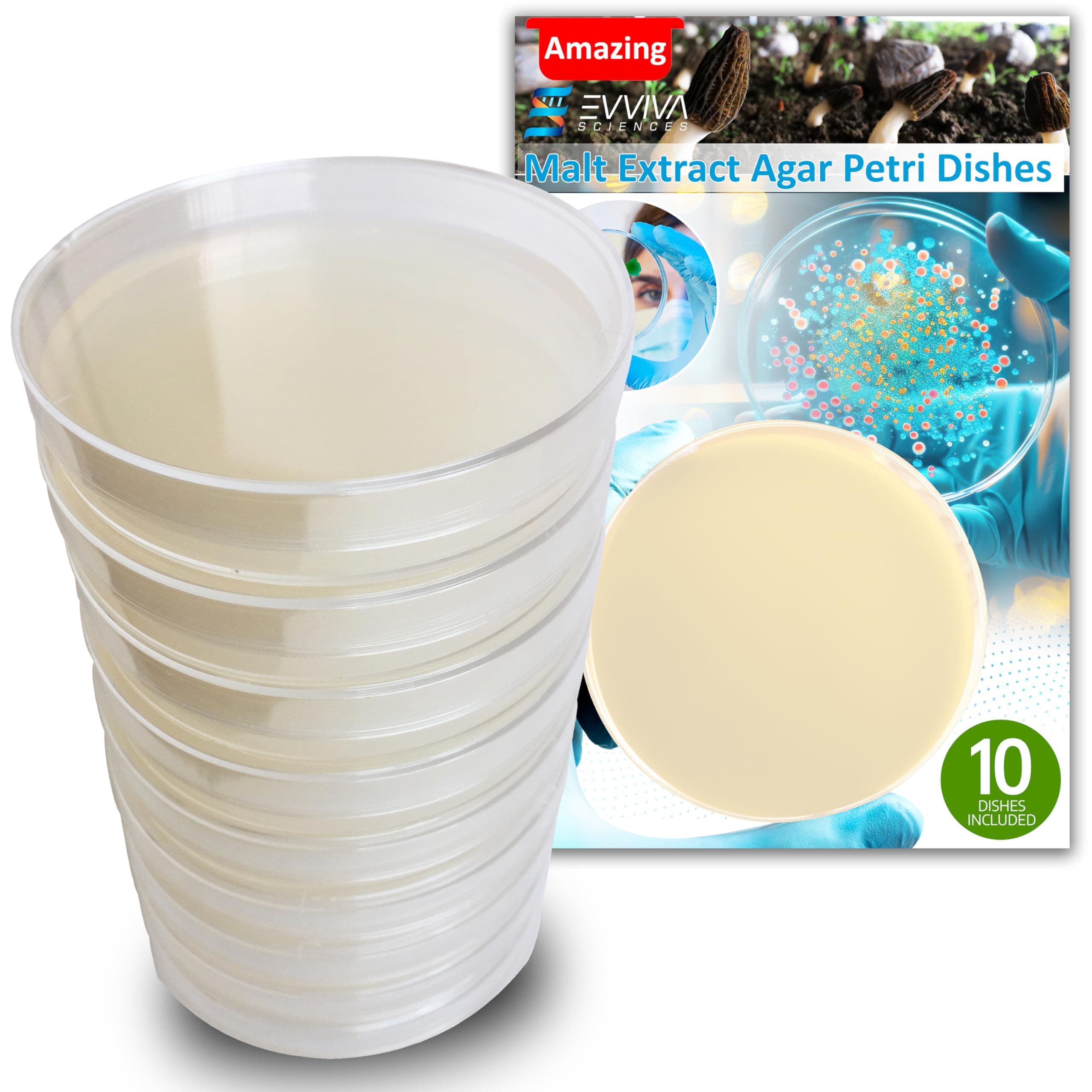 ES EVVIVA SCIENCES Malt Extract Agar Plates - - Great for Mushrooms, Molds, Mushrooms - 10 MEA Petri Prepared Dishes - Also Great for Fairs Projects